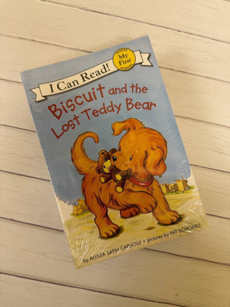 BISCUIT, I can read stories